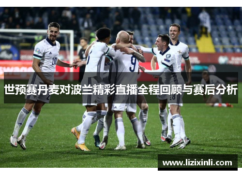 世预赛丹麦对波兰精彩直播全程回顾与赛后分析