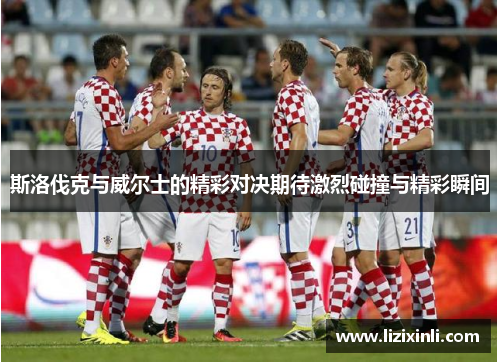 斯洛伐克与威尔士的精彩对决期待激烈碰撞与精彩瞬间
